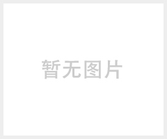 黄色进口LNG加液枪密封圈
